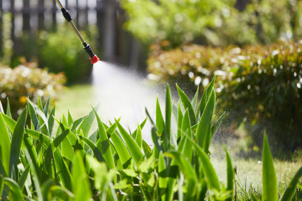 24/7 Emergency Wasp Removal experts in Hamlin, WV