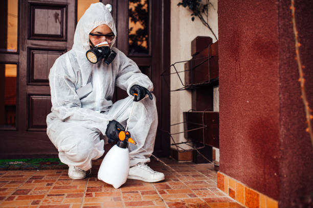 Reliable Wasp Removal contractor in Hamlin, WV by Show Me Pest Control